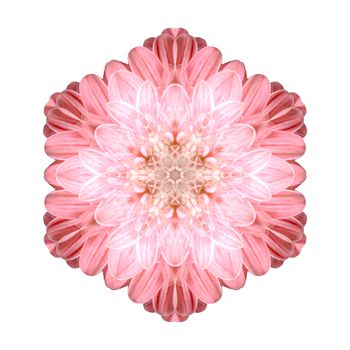 Flower mandala isolated on white background