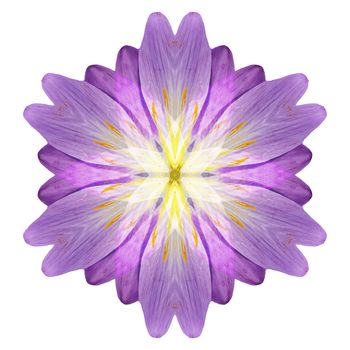 Flower mandala isolated on white background