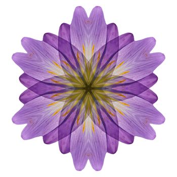 Flower mandala isolated on white background