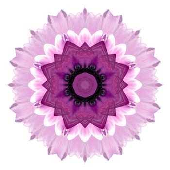 Flower mandala isolated on white background