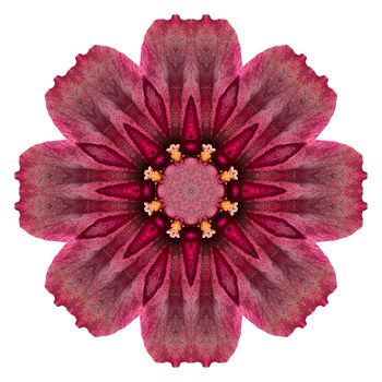 Flower mandala isolated on white background