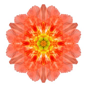 Flower mandala isolated on white background