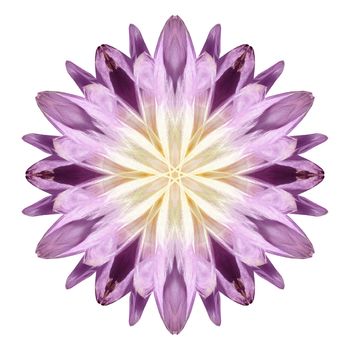 Flower mandala isolated on white background