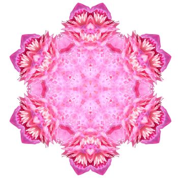 Flower mandala isolated on white background