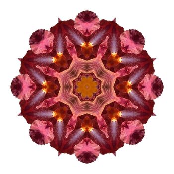 Flower mandala isolated on white background