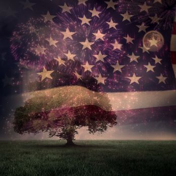 Colourful fireworks exploding on black background against united states of america flag