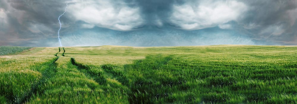 Man standing on the green field at summer and feel the freedom.