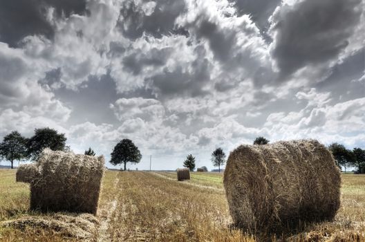 Field and sky. Sheaves in the field. HDR picture.