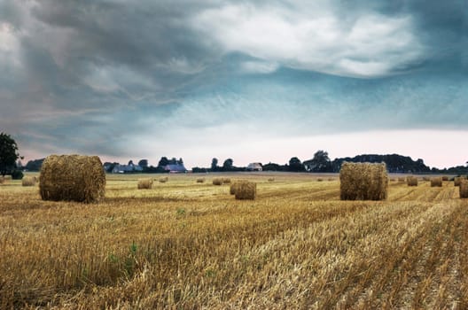 Rural landscape. Storm over the field.