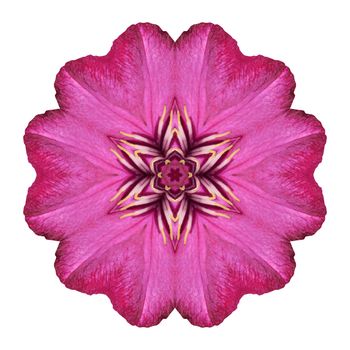 Flower mandala isolated on white background