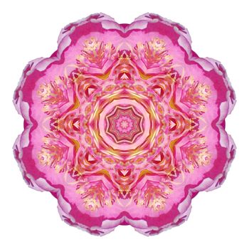 Flower mandala isolated on white background