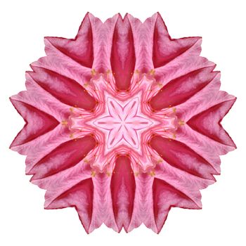 Flower mandala isolated on white background