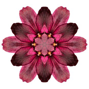 Flower mandala isolated on white background