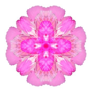 Flower mandala isolated on white background