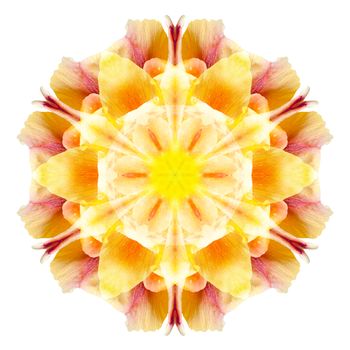 Flower mandala isolated on white background