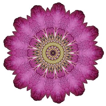 Flower mandala isolated on white background