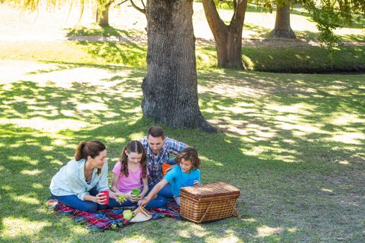 Happy family on a picnic in the park on a sunny day