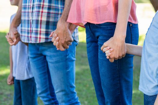 family  holding hands in the park on a sunny day