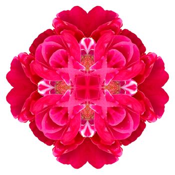 Flower mandala isolated on white background