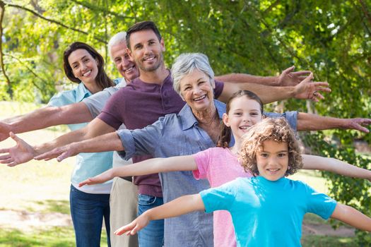 Extended family smiling in the park on a sunny day