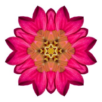 Flower mandala isolated on white background