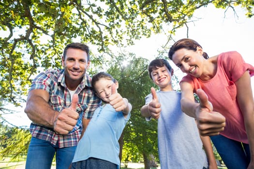 Happy family in the park together on a sunny day