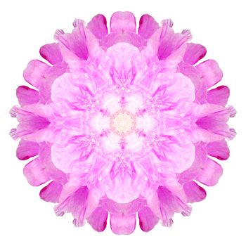 Flower mandala isolated on white background