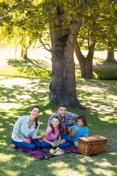 Happy family on a picnic in the park on a sunny day