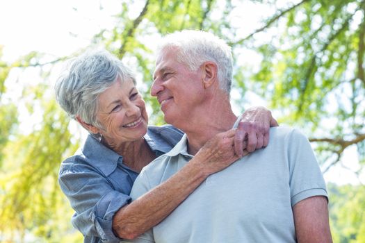 Happy old couple smiling in a park on a sunny day 