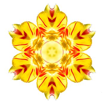 Flower mandala isolated on white background