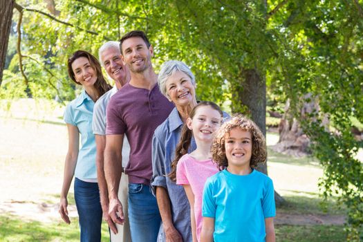 Extended family smiling in the park on a sunny day