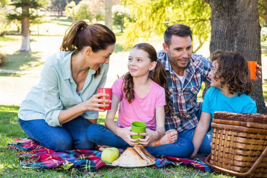 Happy family on a picnic in the park on a sunny day