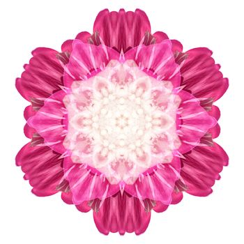 Flower mandala isolated on white background