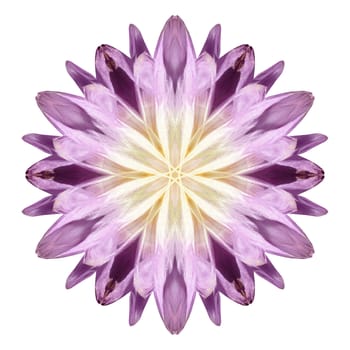 Flower mandala isolated on white background