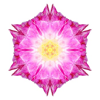 Flower mandala isolated on white background