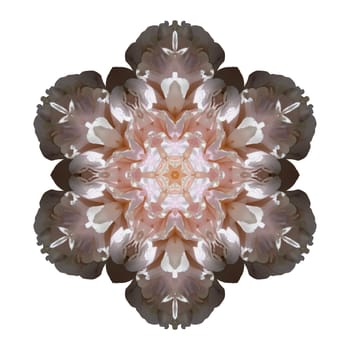 Flower mandala isolated on white background