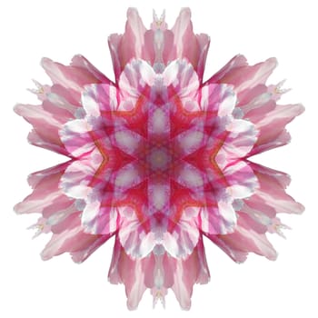 Flower mandala isolated on white background