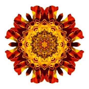 Flower mandala isolated on white background