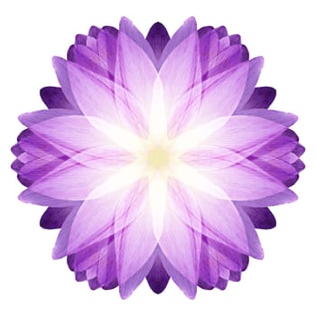 Flower mandala isolated on white background