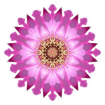 Flower mandala isolated on white background