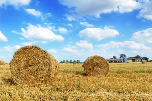 Field and sky. Sheaves in the field.