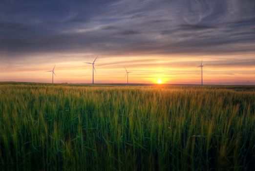 Rural landscape. HDR picture of sundown over the green field at summer.