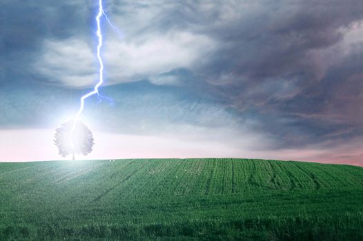 Storm. Lightning hit the tree on green field.