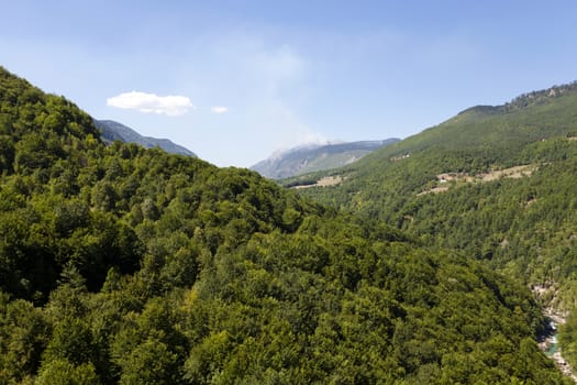   the mountains covered with various trees, other plants. Montenegro