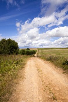   not small paved rural road. Belarus. summer