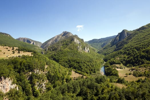   the mountains covered with various trees, other plants. Montenegro