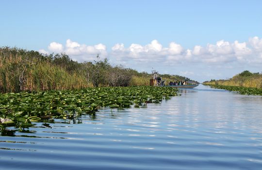 Airboat on tropical wetland in Everglades National Park in Florida