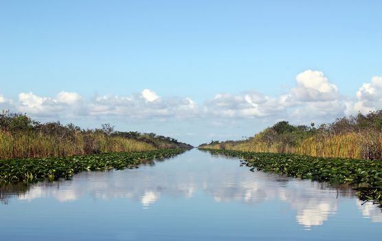 Beautiful lake landscape in Everglades Florida