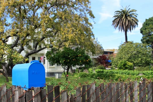 Bright blue mailbox in quiet neighborhood