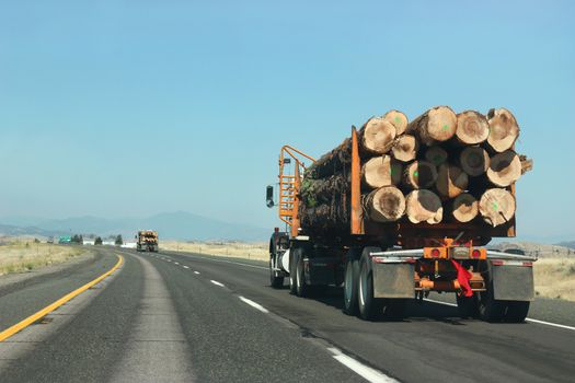Large truck transporting wood on the road